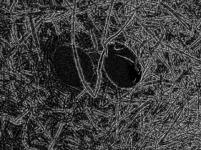 Detection 02 laplace