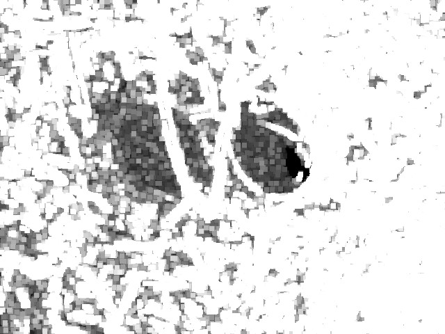 Detection 03 dilatation