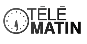 Logo Telematin